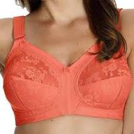 Pack of-2 Triumph Doreen Classic Non-Padded Full Coverage Bra for Women
